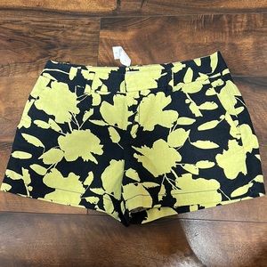 Brand New ladies Short